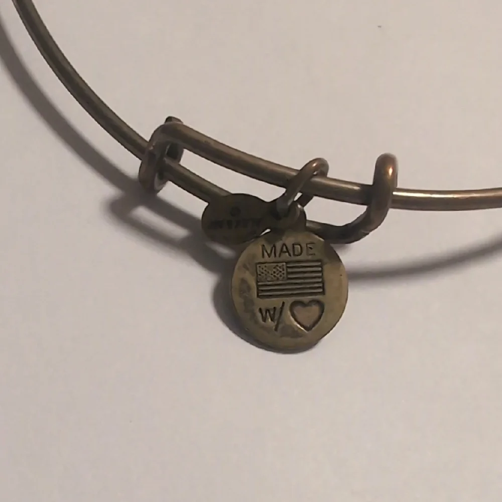 Alex and Ani Gold Expandable Charm Bracelet Made With 🩵 Charm‎ Healing Bracelet